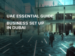 UAE Essential Guide: Business Set up in Dubai